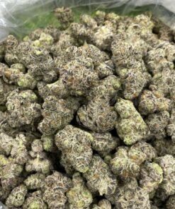 Looking for Grapes N Cream Large strain for sale online in UK