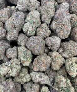 Gusher mint strain for sale online Gusher mint strain is an indica-dominant hybrid strain created through crossing Gusher and Animal mints its also known to come from the gusher’s family. Be ready to hit your pinnacle of nervousness free concentration and imagination right off the bat in the high