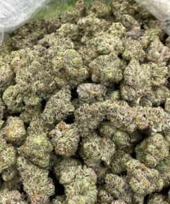 LOOKING FOR SHERB CAKE F2 LARGE STRAIN FOR SALE IN USA
