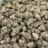 LOOKING FOR SHERB CAKE F2 MEDIUMS STRAIN FOR SALE IN USA