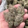 Looking for Santas Stash strain for sale online in USA