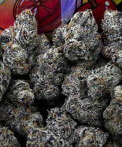 Looking For Sour lemons strain for sale online in USA