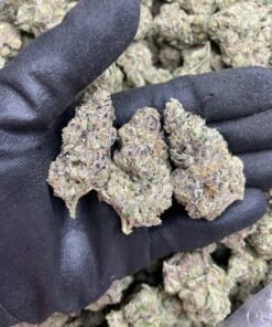 Super runtz strain for sale online