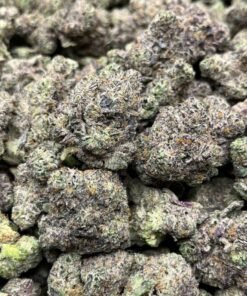 purple runtz strain for sale online in USA